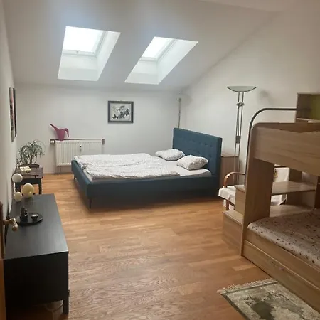 Apartmán Lidicka Karlovy Vary