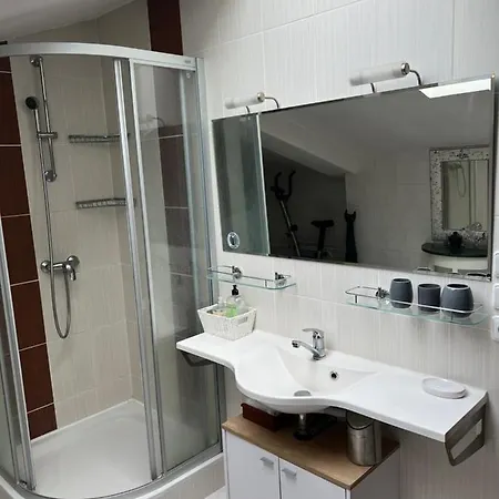 Apartment Lidicka